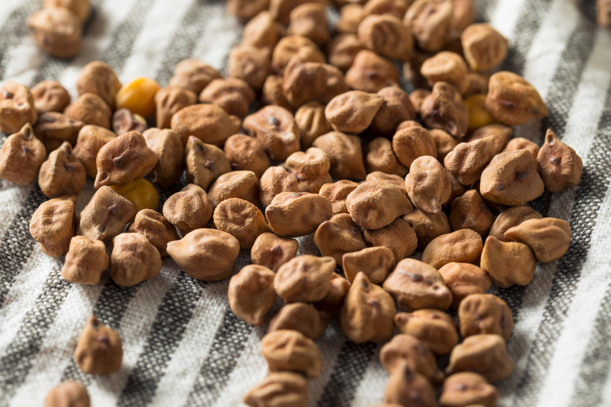 Desi chickpeas drying on a grey and white striped towel.