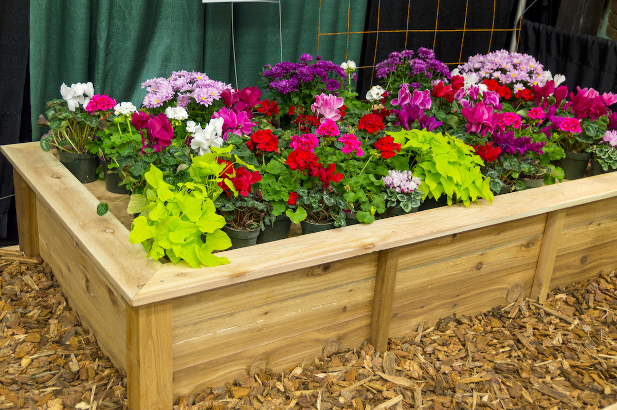 A wooden flower planter box contains colorful flowers.