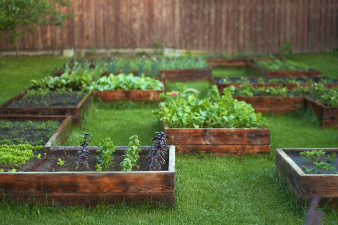 At least one half-dozen wooden raised garden beds of various sizes and shapes sit next to one another in a small backyard.
