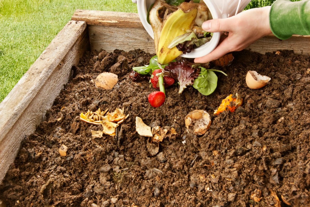 A person pours table scraps, including banana peels, eggshells, and scrap food, into a raised garden bed.