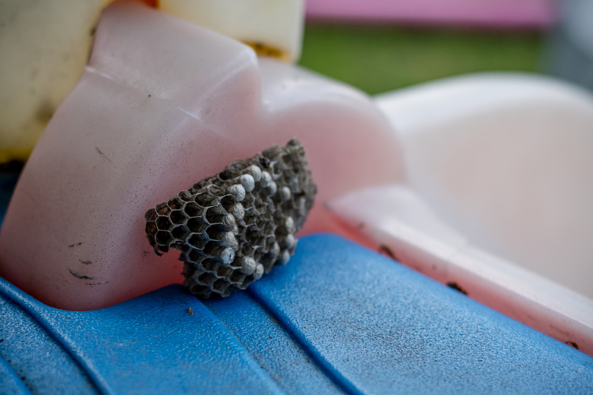 A small wasp nest is attached to a pink and blue playground slide.