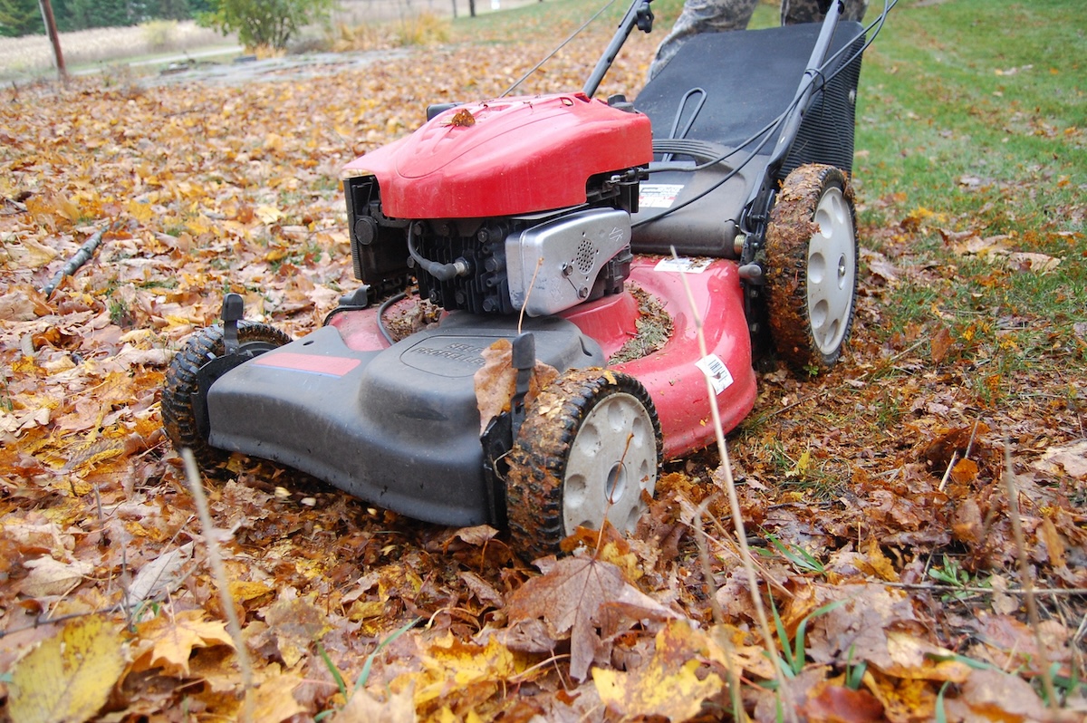 Mowing with a read lawnmower on lawn with autumn leaves.