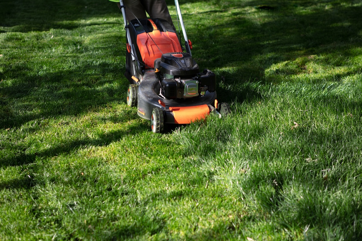 This Is the Appropriate Grass-Cutting Height for Your Lawn, According to Experts