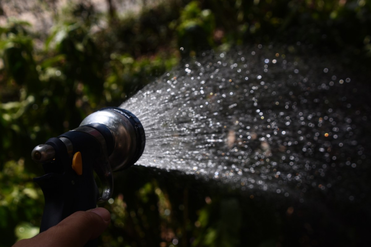 Person using a hose sprayer to water plants after dark.