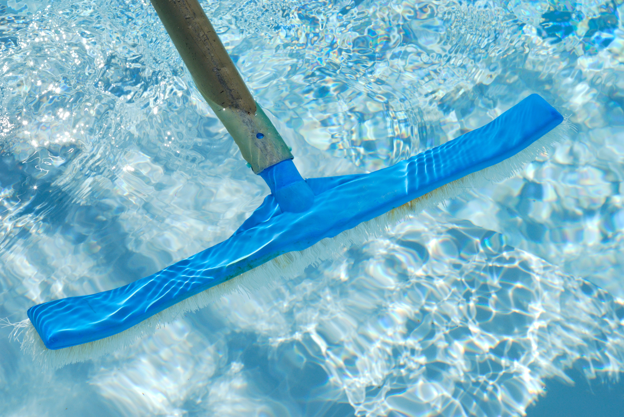 A swimming pool brush being used to clean a swimming pool's tile bottom,