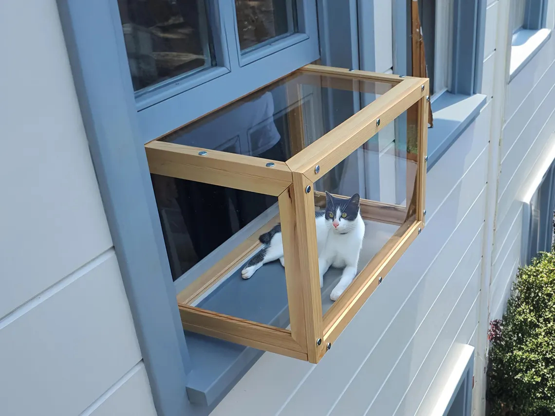 A white-and-black sits in a custom catio built into the window of a modern home or apartment building.