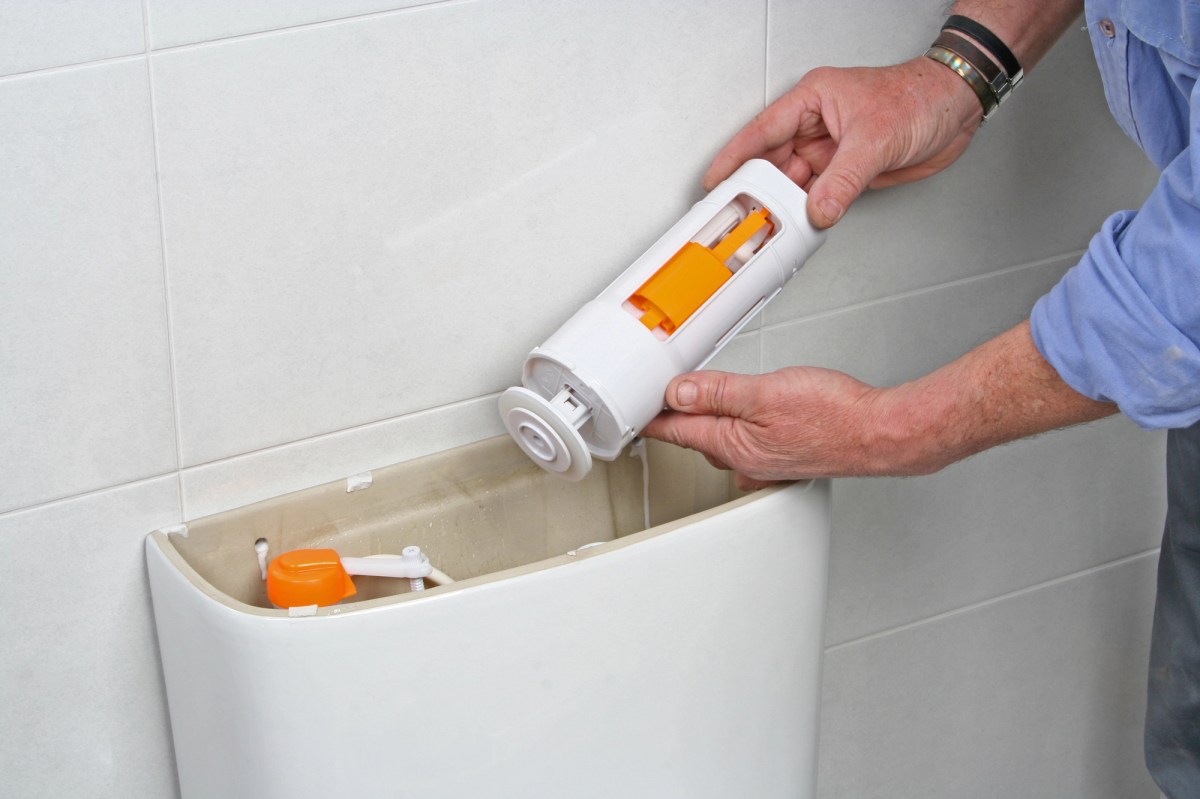 A man removes or inserts a white-and-orange toilet flush valve.