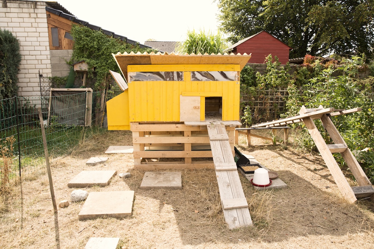 A colorful yellow chicken coop in a suburban backyard.