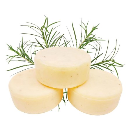  Three Simplut Zero Waste Natural Solid Dish Soap Bars with greenery on white background