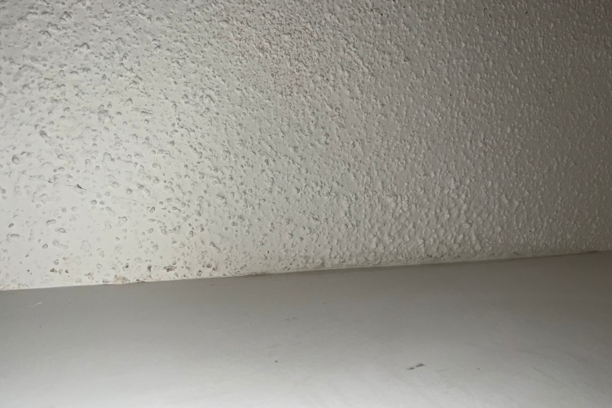 A close up of the author's pantry ceiling free of a moth infestation.