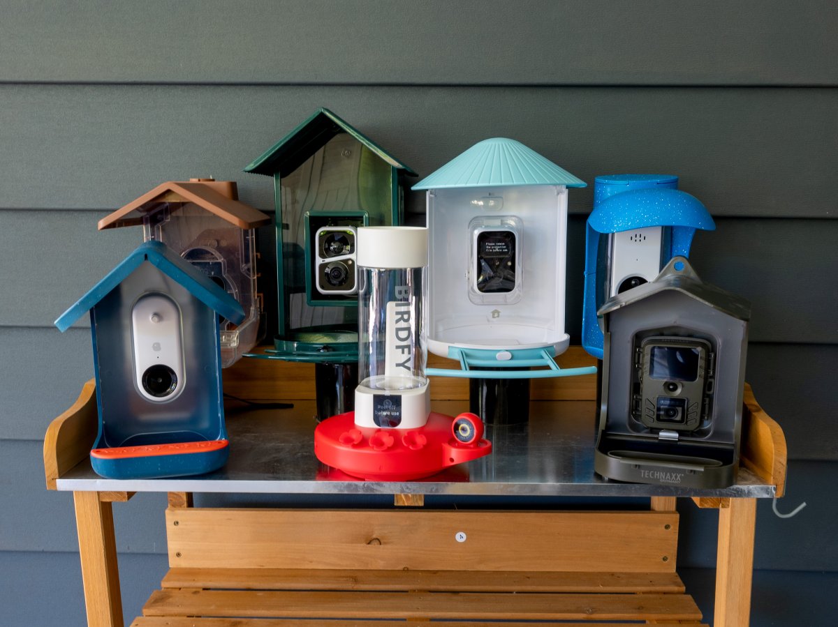 7 of the Best Bird Feeder Cameras sitting on a wood table outside