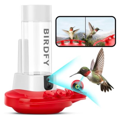 Netvue Birdfy Hummingbird Feeder on white background with smartphone screen above it