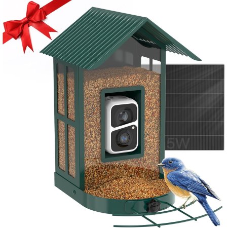  Bluebird on Soliom BF08 Solar Smart AI Bird Feeder Camera on white background