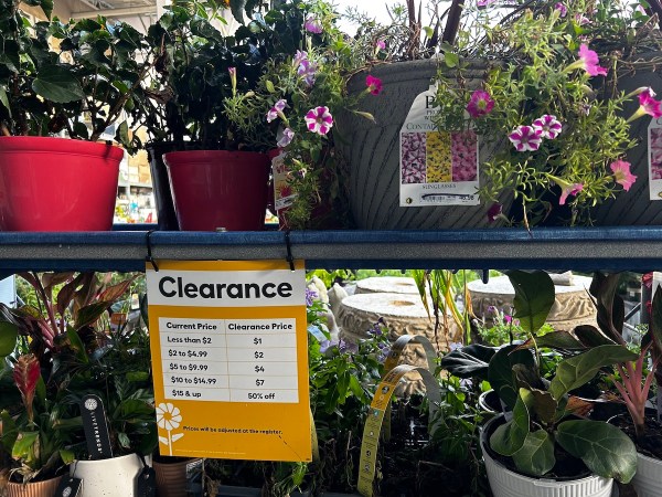 Two shelves of potted plants at a home improvement center, with a "Clearance" sign hanging from one shelf.
