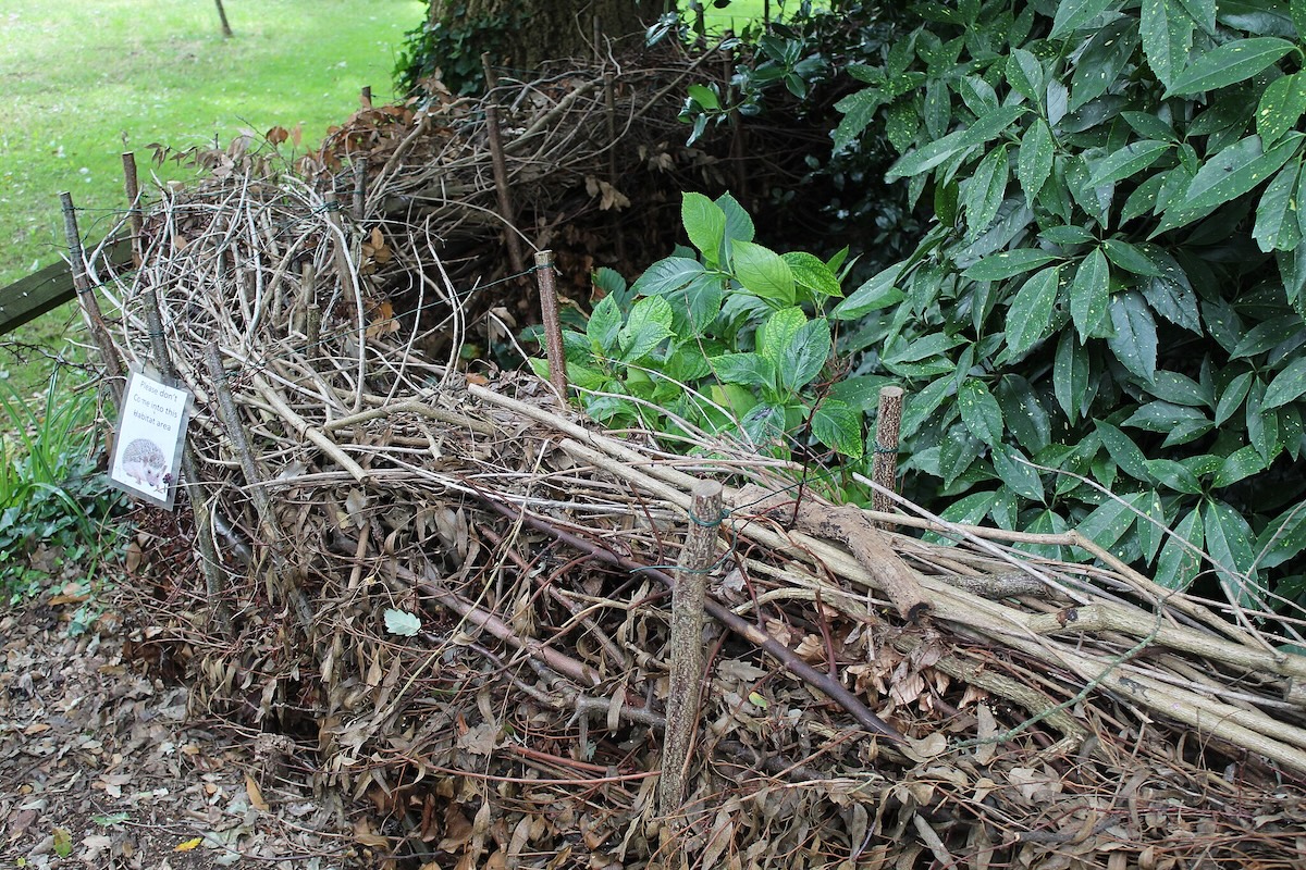 A rustic, natural dead hedge fence around a small home garden.