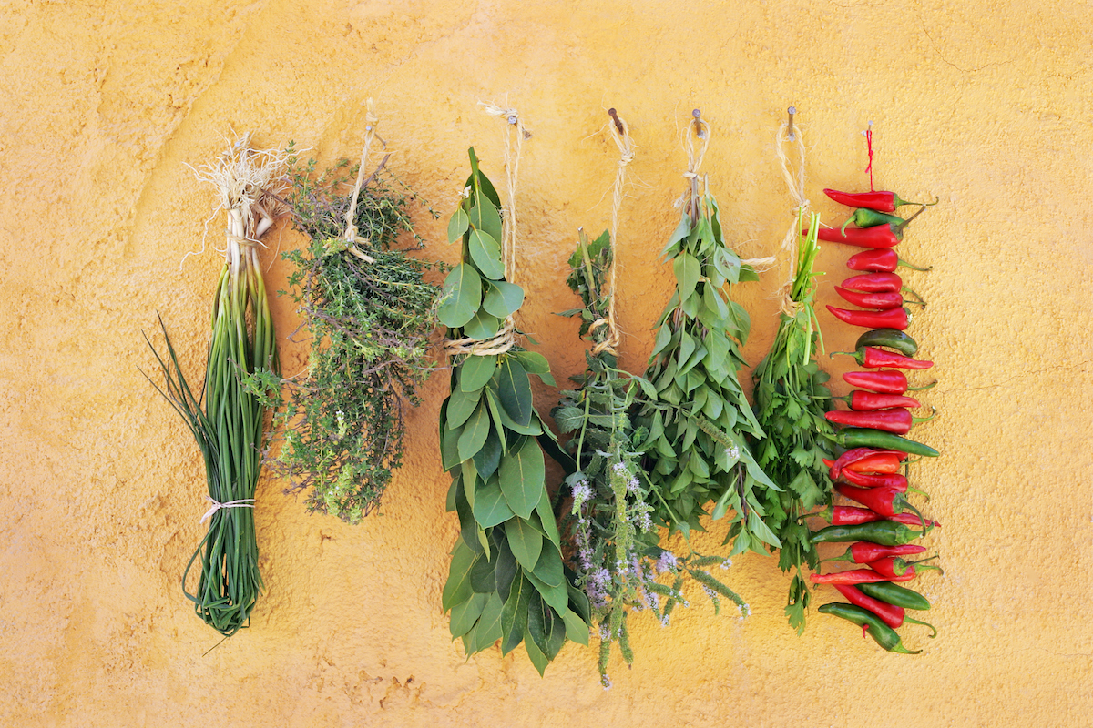 Five different kids of herbs hanging  out to dry upside-down against a mustard-colored wall.