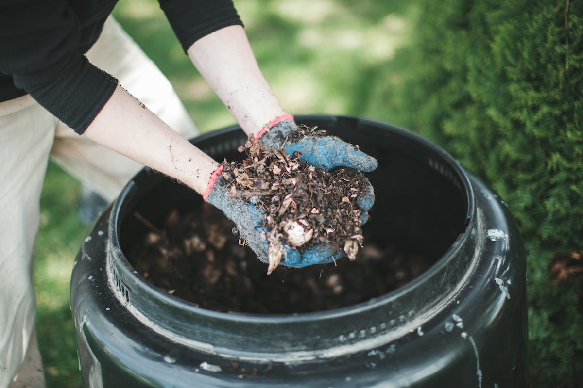 Holding soil from compost bin while wearing gardening gloves.