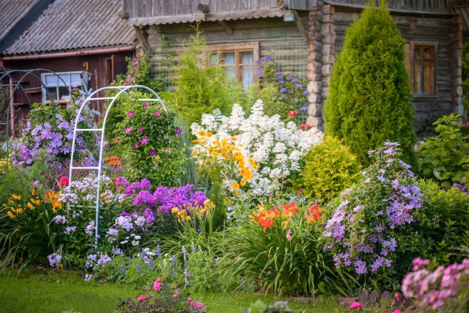 A garden full of flowering shrubs with a wooden cabin in the background.