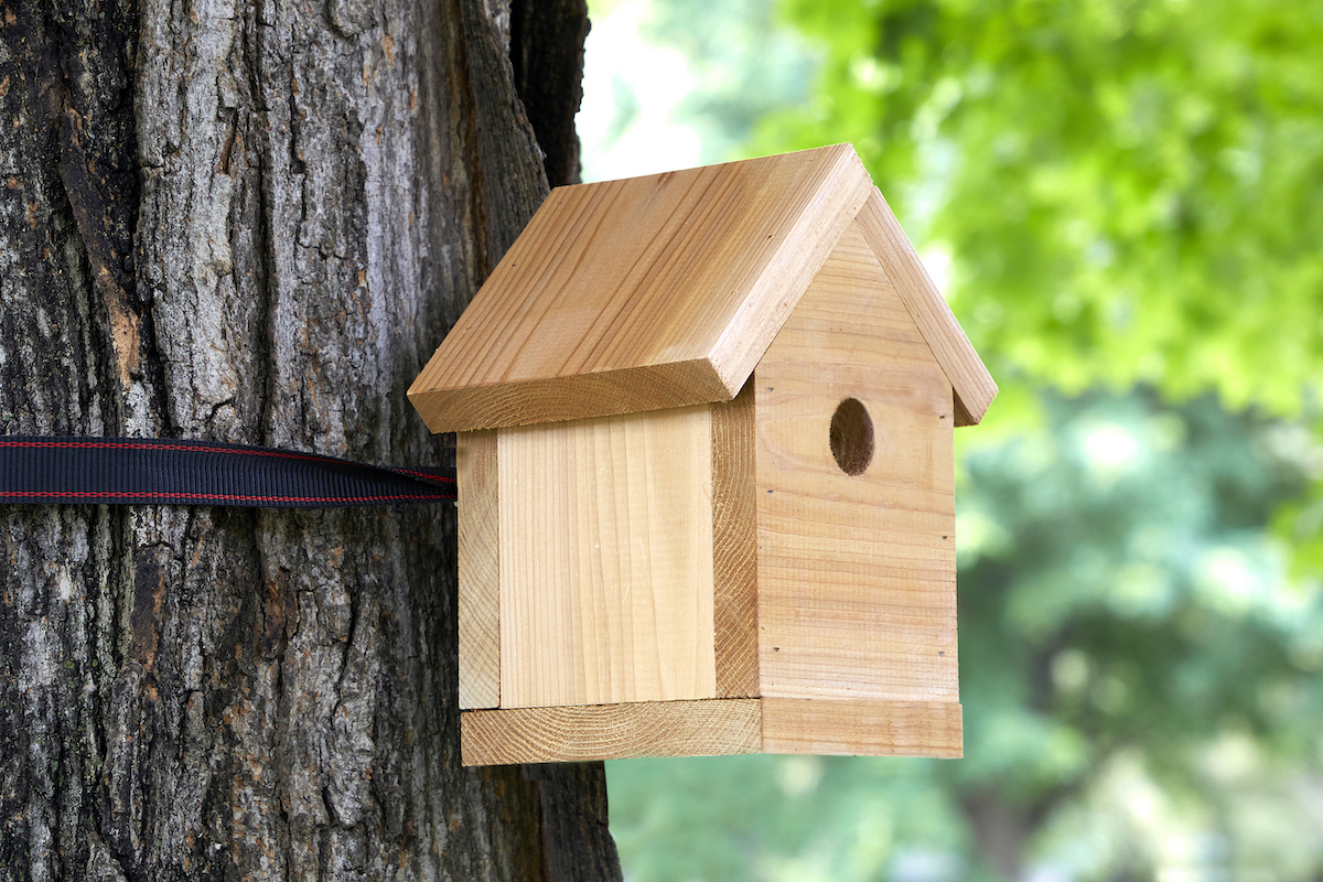 Completed handmade birdhouse strapped to a tree trunk. 