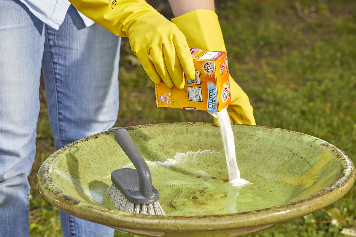 Woman sprinkles baking soda into a bird bath, with a scrub brush nearby.