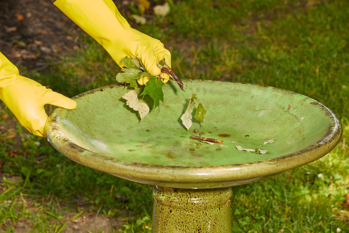 Woman wearing rubber gloves removes leaves and twigs from a green bird bath.