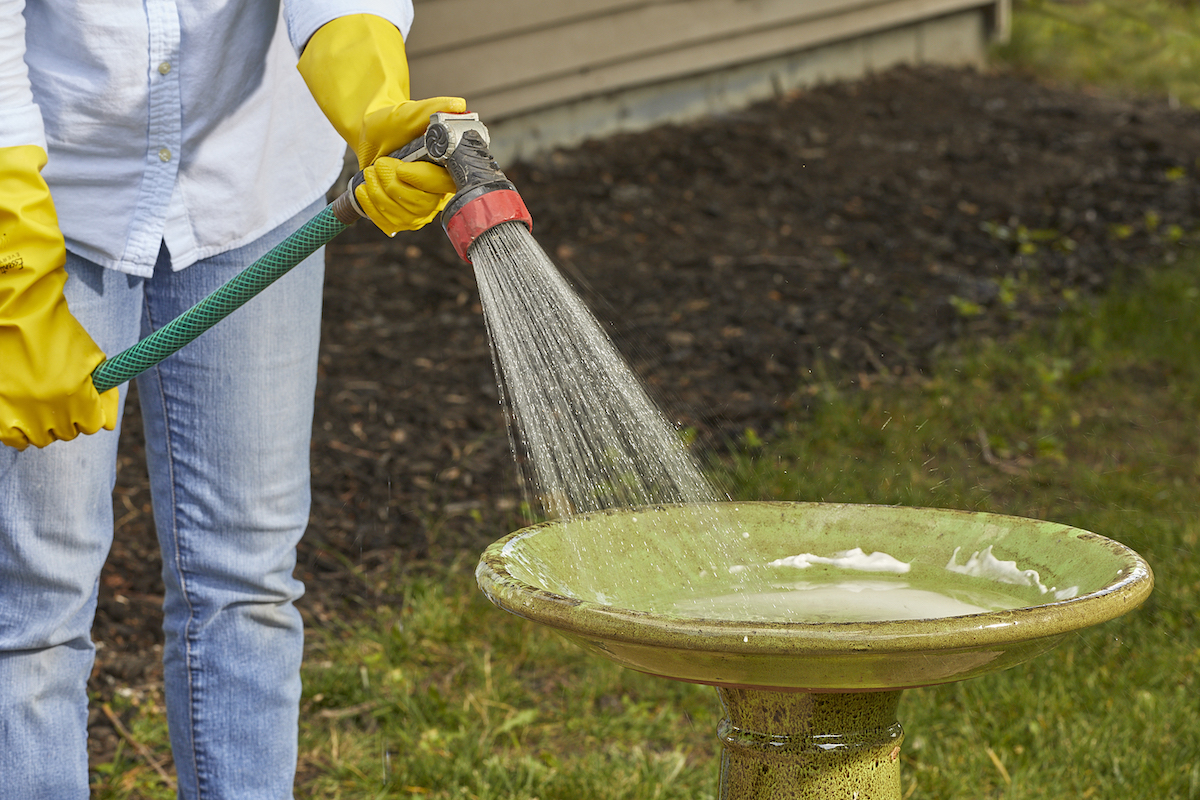 Woman uses a garden hose to rinse cleaning solution out of a bird bath.