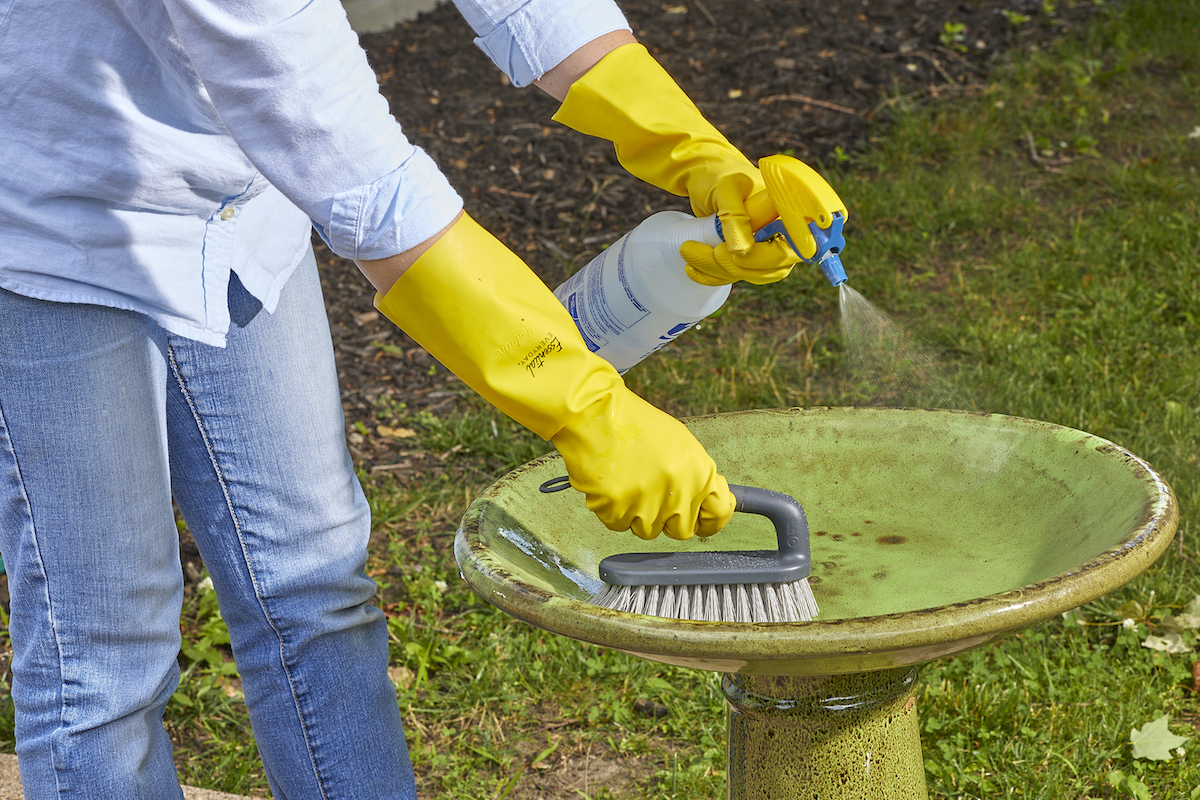 Woman sprays and scrubs a green bird bath.