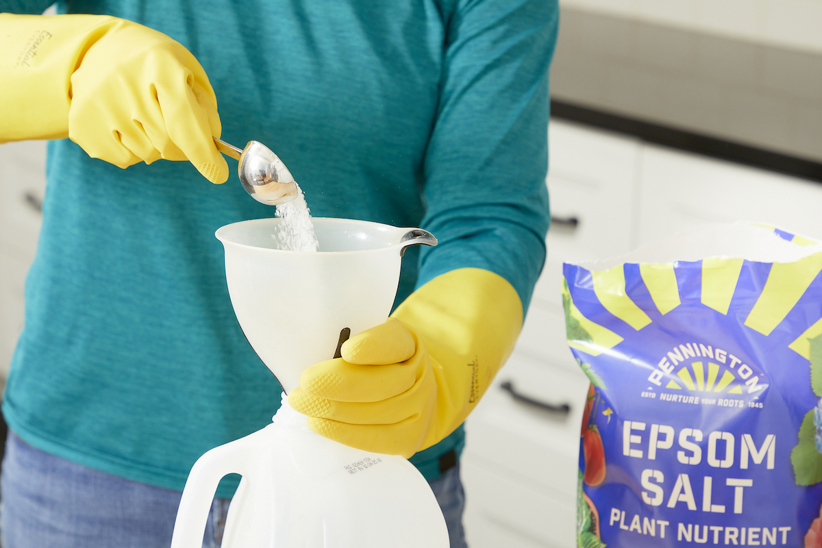 Woman uses a measuring spoon to measure epsom salt into a funnel. 