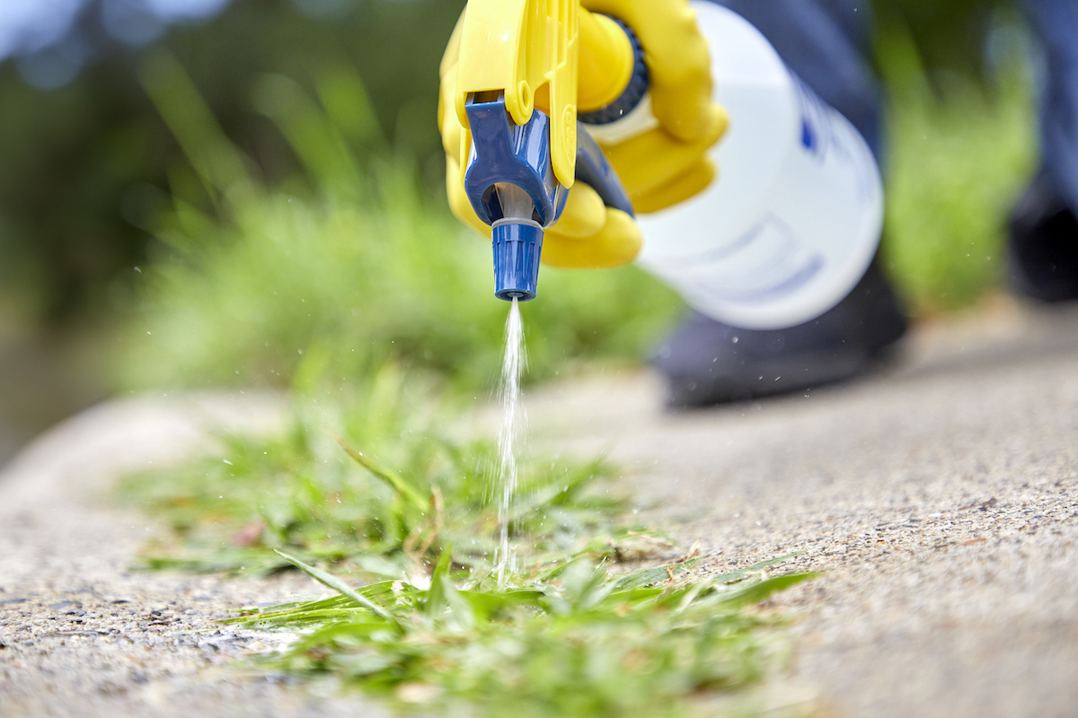 Close up of a woman spraying weeds on a driveway.