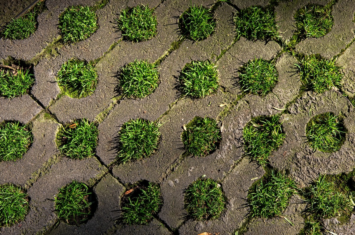 Permeable paver stones with grass patches growing.