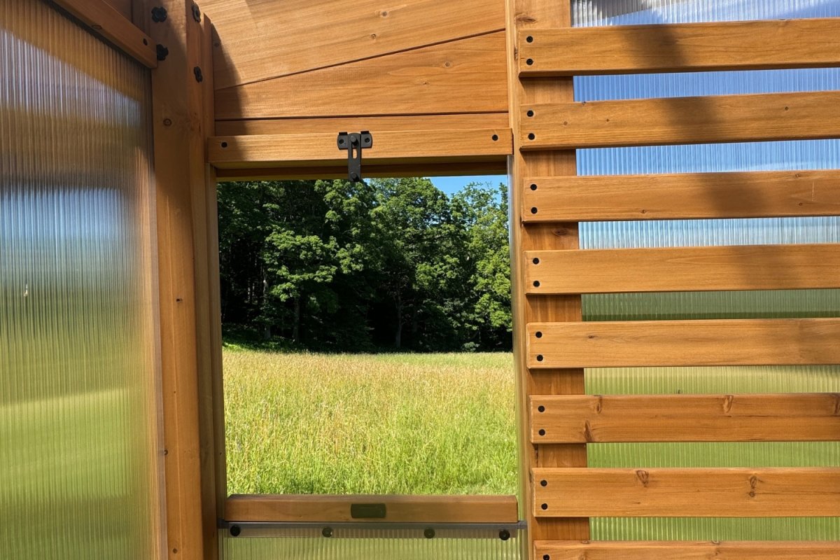 View from inside a cedar greenhouse with textured polycarbonate windows