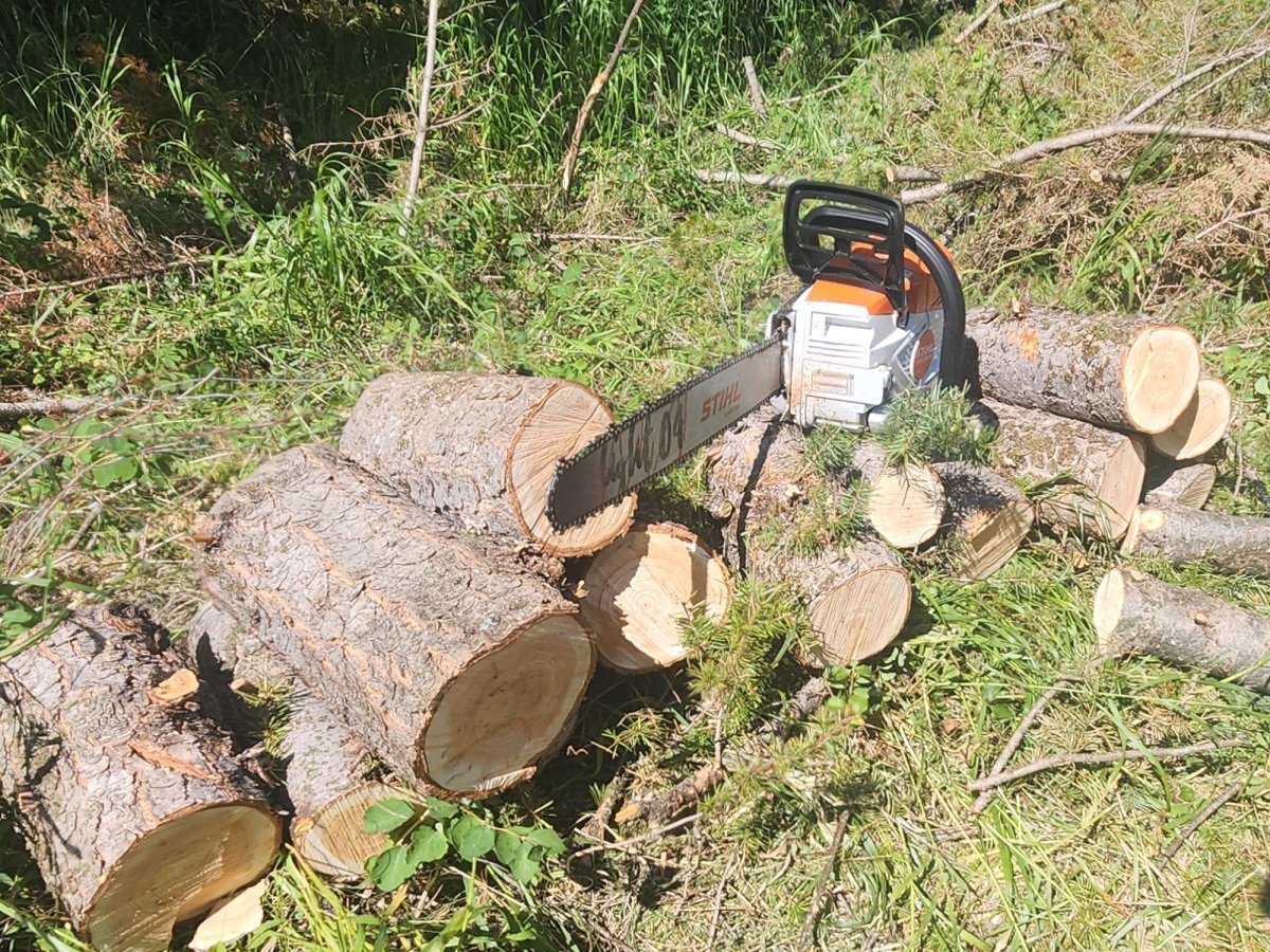 Best Chainsaws Review