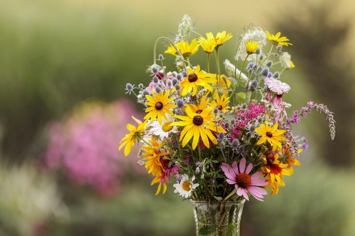 Homemade cut flower bouquet from the garden in a clear glass vase.