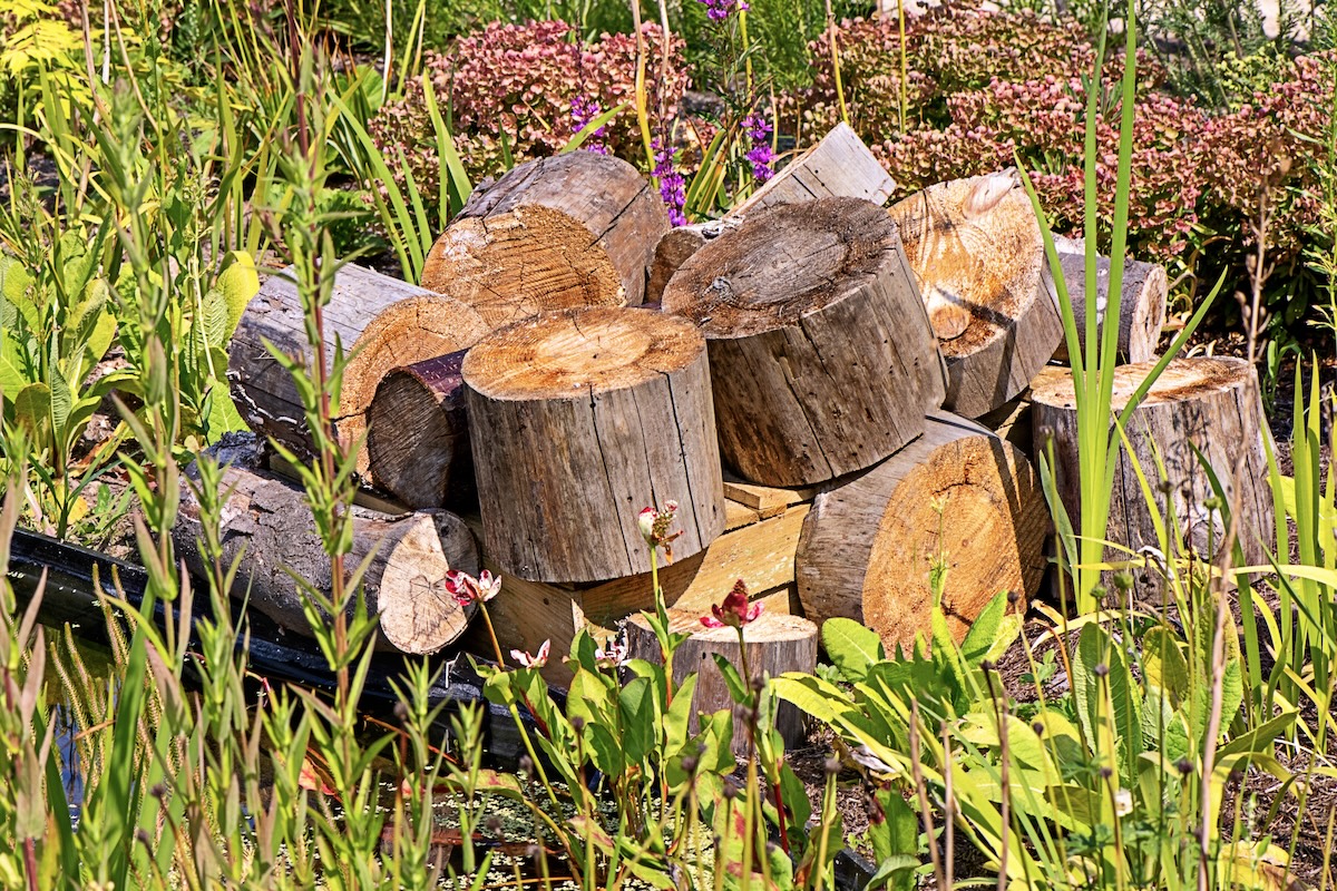 A pile of wood in a backyard to provide habitat for endangered fireflies and lightning bugs.