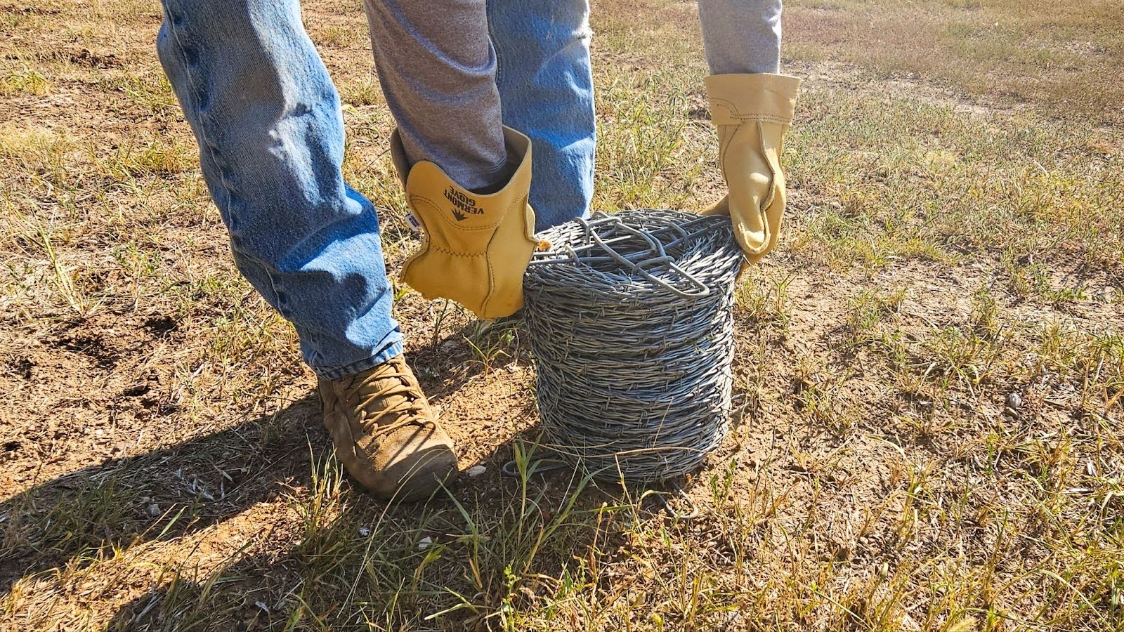 Person in yellow vermont work gloves lifting a coil of barbed wire