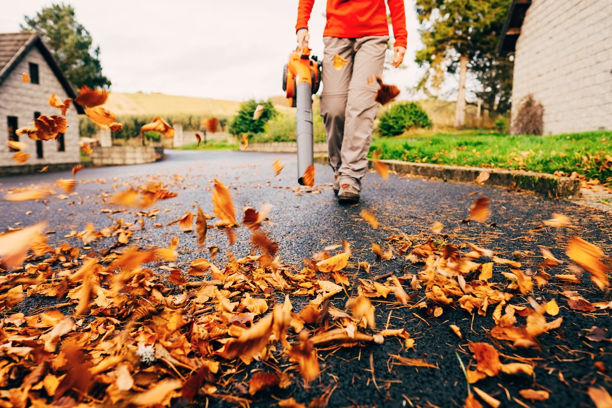 Using a leaf blower on orange Autumn leaves.