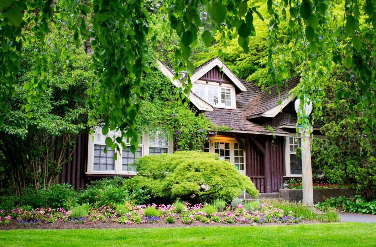 A house surrounded by deciduous trees for shade and lower energy costs.