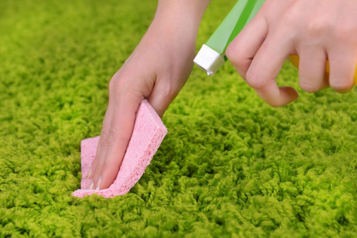 Spot treating a spill on green carpet with a sponge and carpet cleaner.