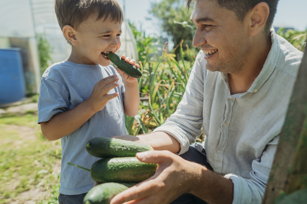 A father and son eating freshly picked cucumbers from their home garden.