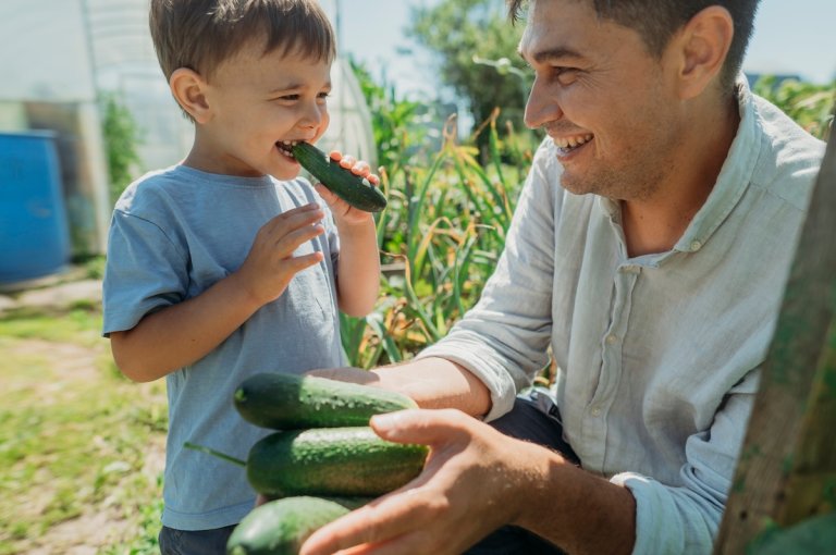 A father and son eating freshly picked cucumbers from their home garden.