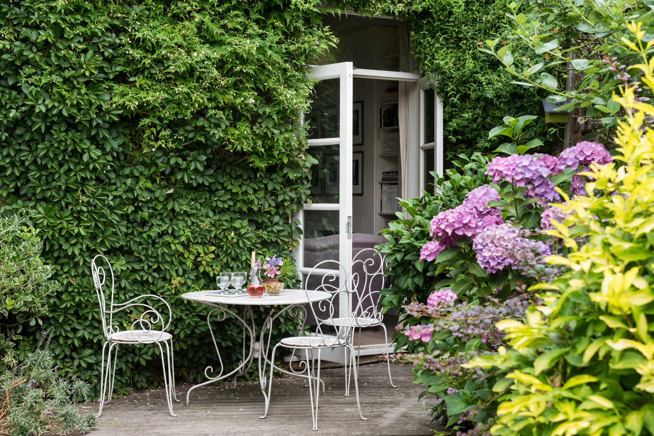 French windows leading out to garden with white wrought iron furniture with rhododendrons and jasmin-clad walls.