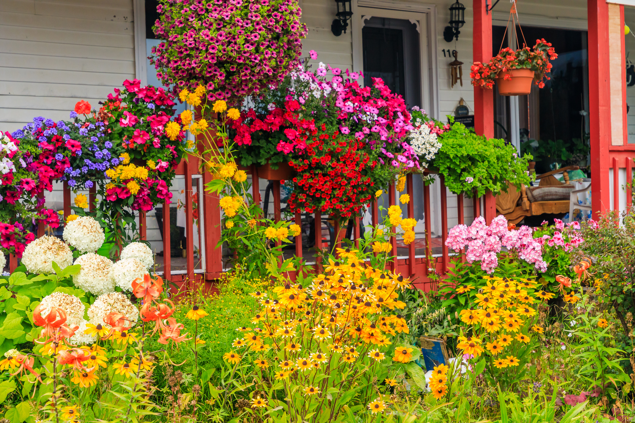 Colorful garden with red, yellow, and pink flowers outside the front of a white house.