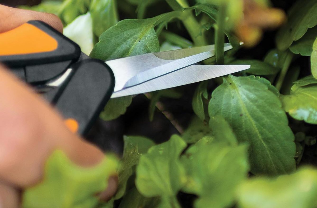 The Best Harvesting Tool Option Fiskars Micro-Tip Pruning Snips