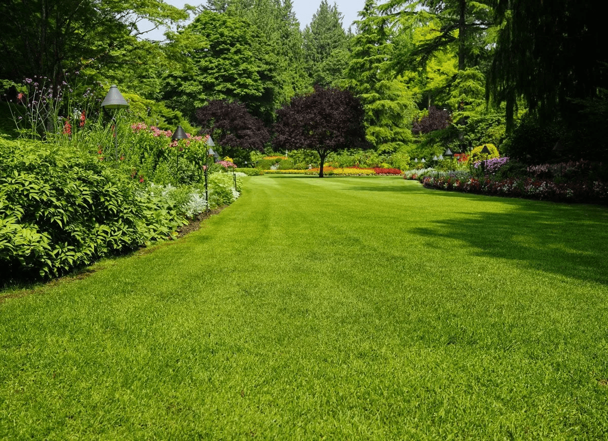 A landscaped back yard features a manicured lawn, flowering bushes, and several trees.