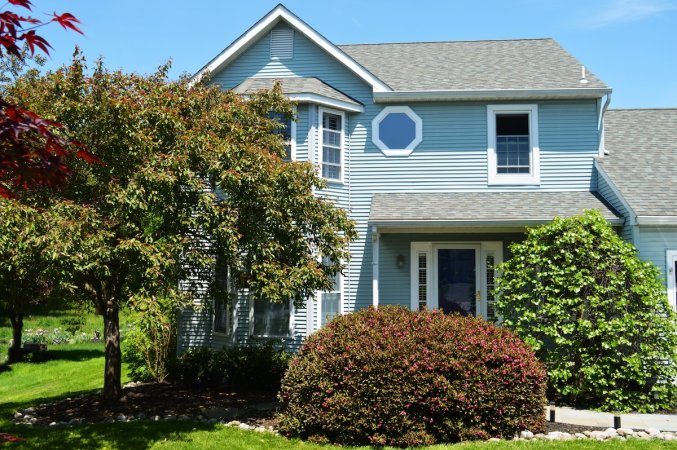 A suburban blue home with a tree planted in front of the front windows to provide shade.