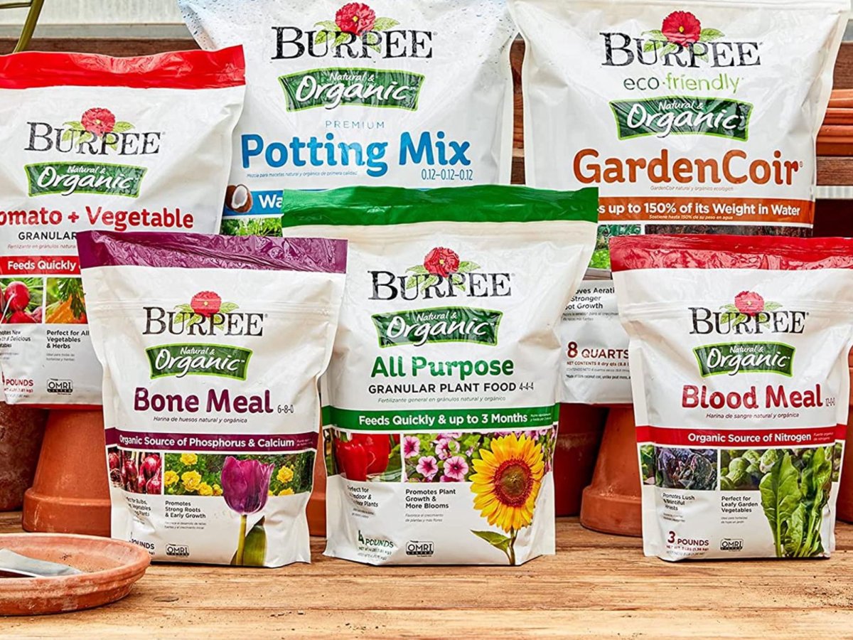 Best Potting Soil