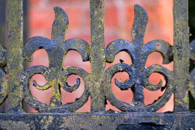 Grime, dirt, and peeling paint are visible on the surface of a vintage wrought iron fence detailed with fleur de lis designs.