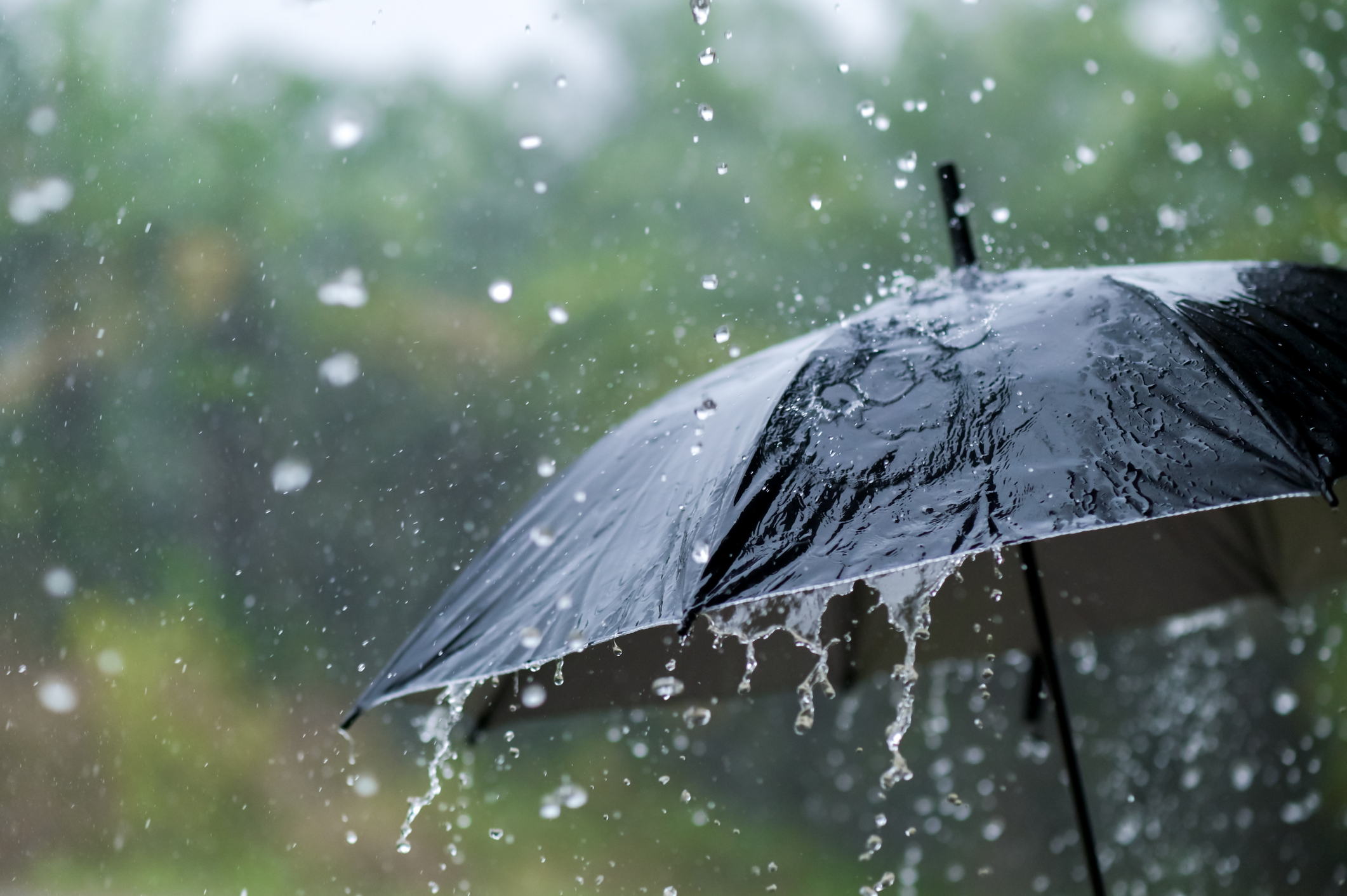 Black umbrella getting wet in a rain storm with trees in the background.