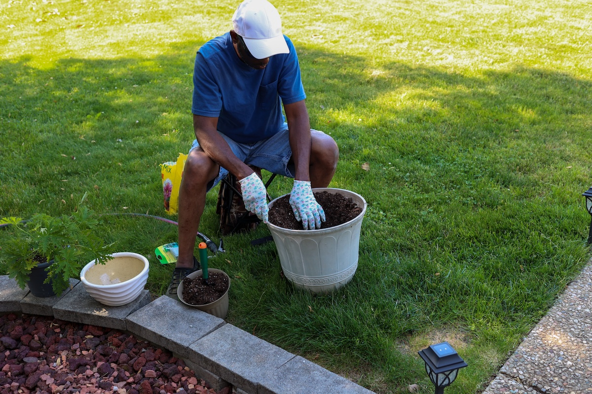 A gardener potting outdoor plants with potting soil.