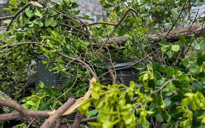 A fallen tree on an outdoor air conditioner unit.